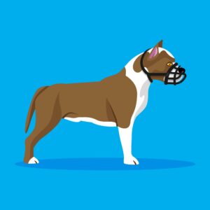 Pitbull dangereux